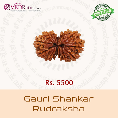 Gauri Shankar Rudraksha